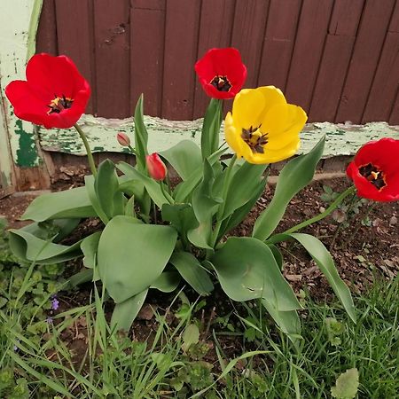 Domacija Malnarjevi Villa Villa Slavina Eksteriør billede
